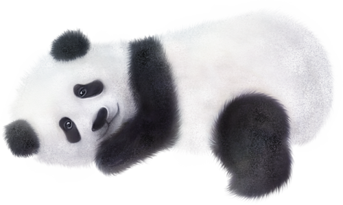 panda_2.png