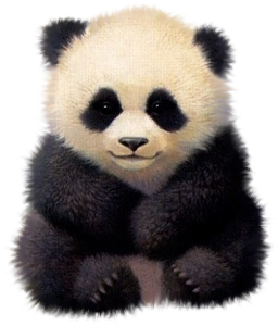 panda_5.png