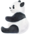 panda_1