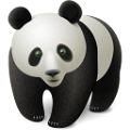 panda_11
