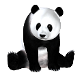 panda_18