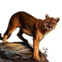 puma_6.png