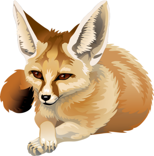 roka_100.png