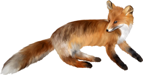 roka_105.png