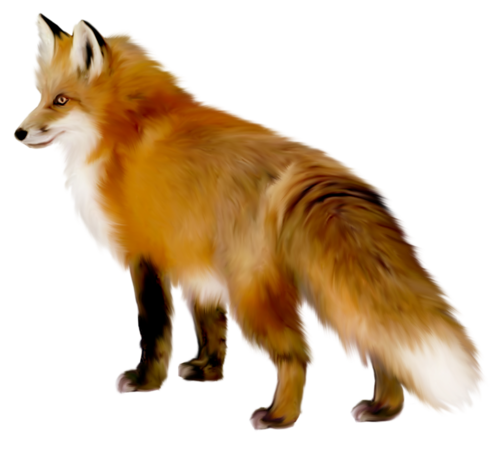roka_110.png