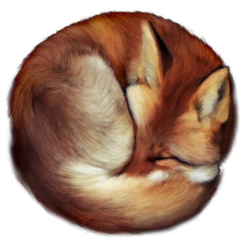 roka_112.png