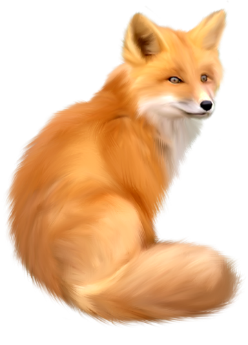 roka_113.png