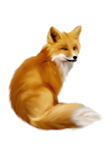 roka_142.png