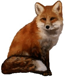 roka_39.gif