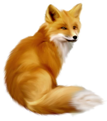 roka_57.png