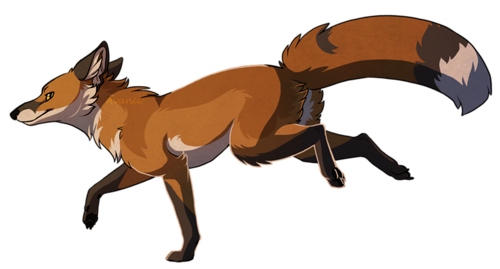 roka_99.png