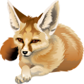 roka_100