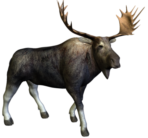 szarvas_108.png