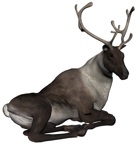 szarvas_130.png