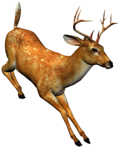 szarvas_135.png
