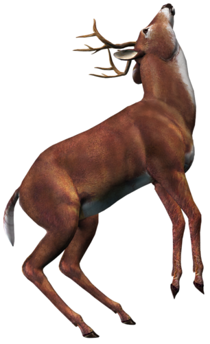 szarvas_160.png