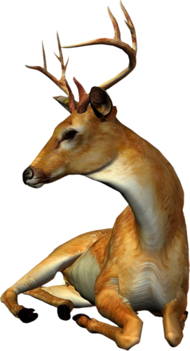 szarvas_222.png