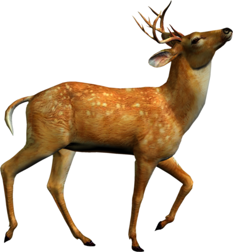 szarvas_230.png
