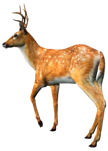 szarvas_262.png