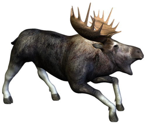 szarvas_282.png