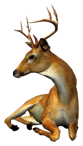 szarvas_338.png