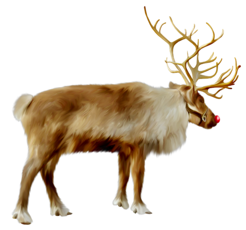 szarvas_58.png