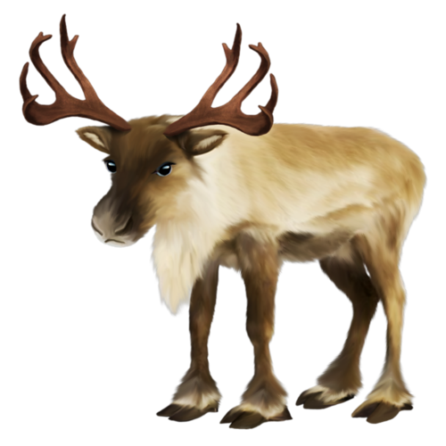 szarvas_61.png