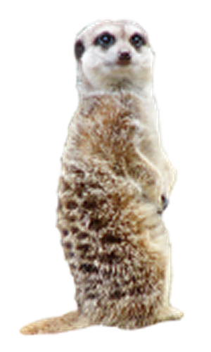 szurikata_8.png