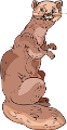 szurikata_1