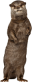 szurikata_4