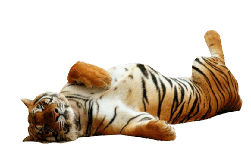 tigris_140.gif
