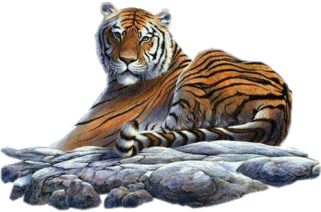tigris_141.gif