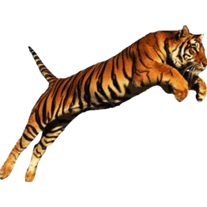 tigris_160.gif