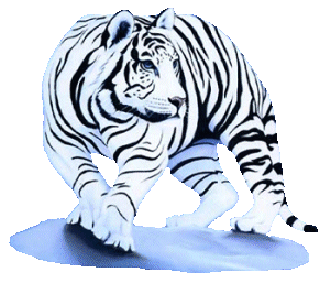 tigris_168.gif