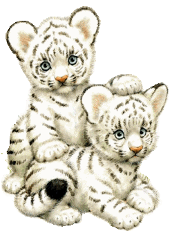 tigris_17.png
