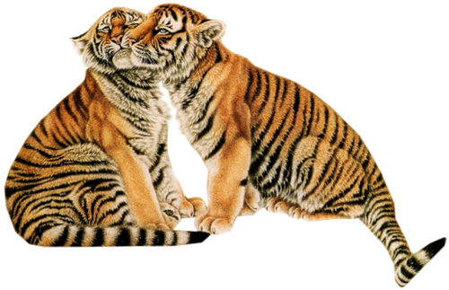 tigris_171.png