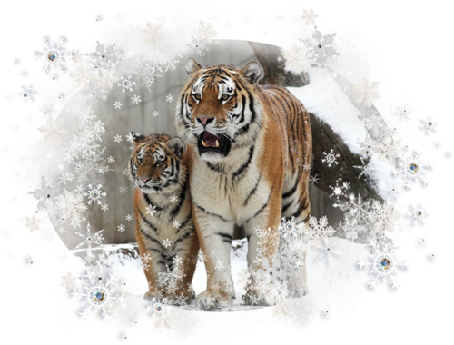 tigris_176.png