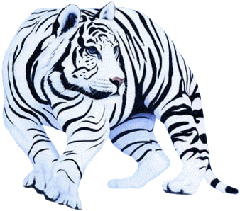 tigris_195.gif