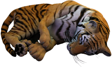 tigris_22.png