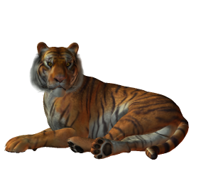 tigris_225.png