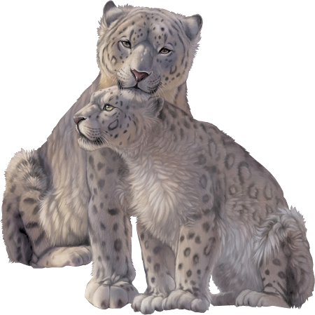 tigris_230.png