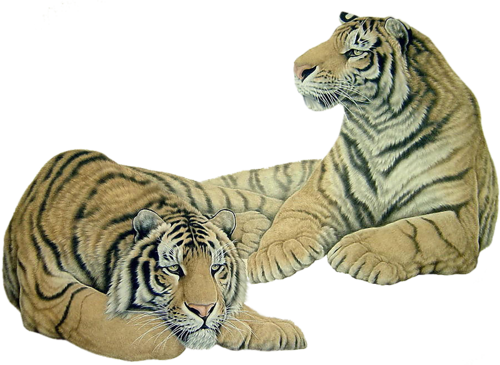 tigris_250.png