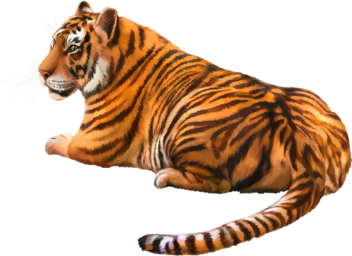 tigris_261.png