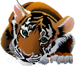 tigris_3.png