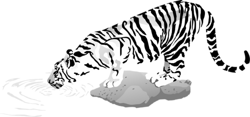 tigris_304.png