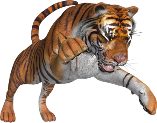 tigris_308.png
