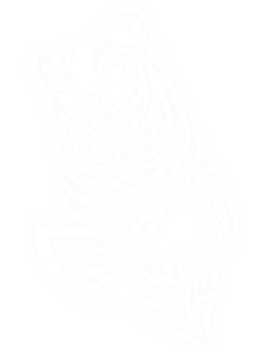 tigris_325.png
