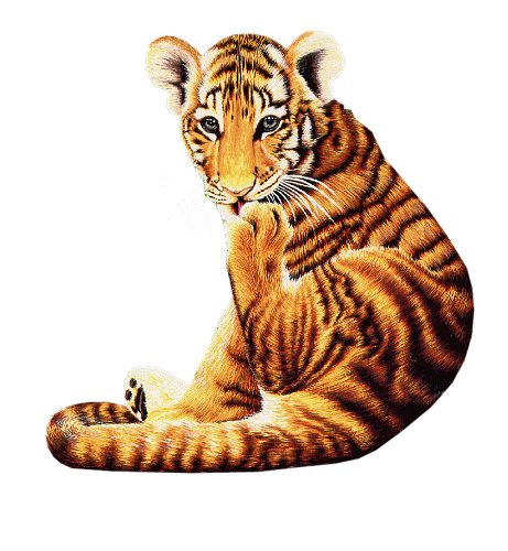 tigris_334.png