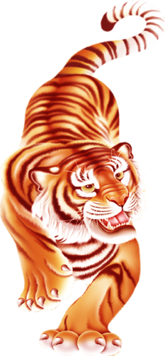 tigris_350.png