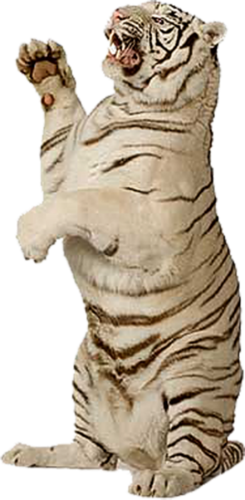 tigris_360.png